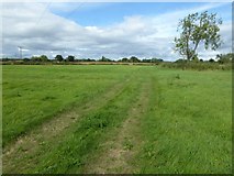 SO8742 : Wheel tracks through a field by Philip Halling