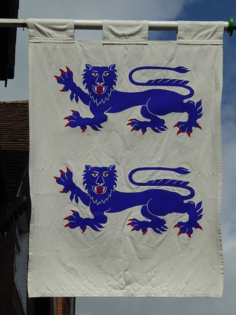 Two lions on a banner