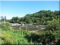 Buckfastleigh Sewage Treatment Works