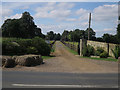 Stud entrance off Exning Road