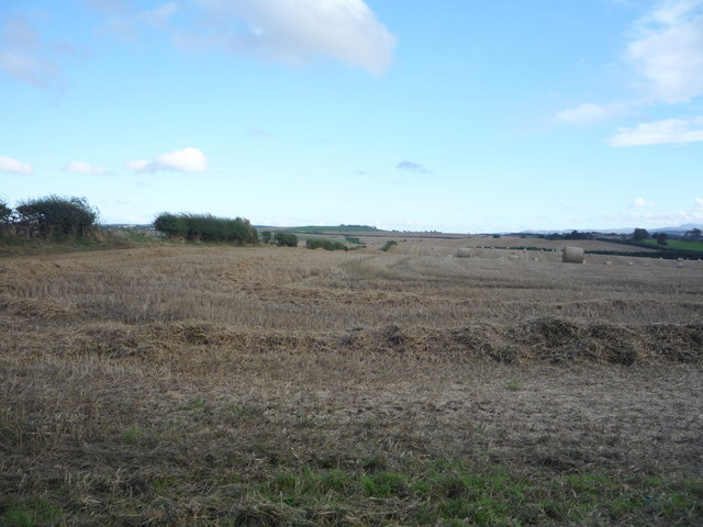 Riffington Plantation, Northumberland - area information, map, walks ...