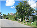 Roadside Plant Stall, Staverton