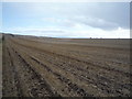 Stubble field off the A698