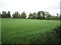 Farmland, St Boswells