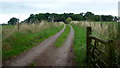 Track to Arbour Cottage