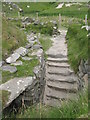 NB1340 : Steps at the Iron Age House by M J Richardson