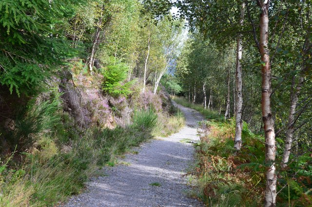 Path in Ruskich Wood, Loch Ness