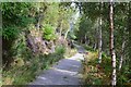 NH4822 : Path in Ruskich Wood, Loch Ness by Jim Barton