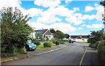 SX7963 : Houses in Staverton by Des Blenkinsopp