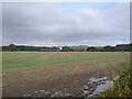 Farmland towards Ploughlands