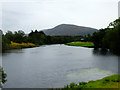 The Spey at Kinchurdie