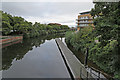 River Tone from the Riverside footbridge