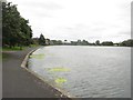 NZ2771 : Lakeside footpath by Graham Robson