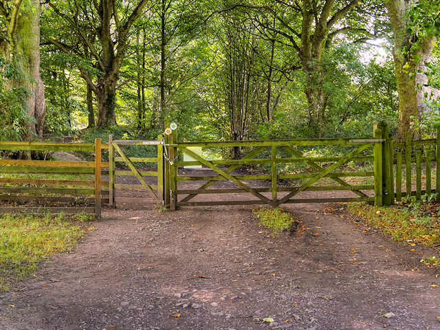 Path and Gate in Hardwick Park