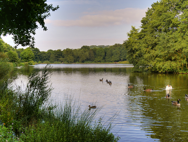 The Miller's Pond, Hardwick Park