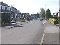 Acaster Drive - viewed from Hazelwood Avenue