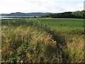 Fields below Ormsary House