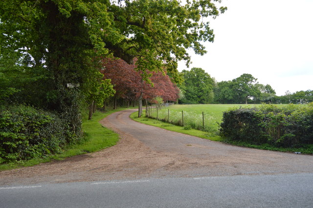 Track off Hophurst Lane
