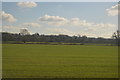 Farmland near Westbury