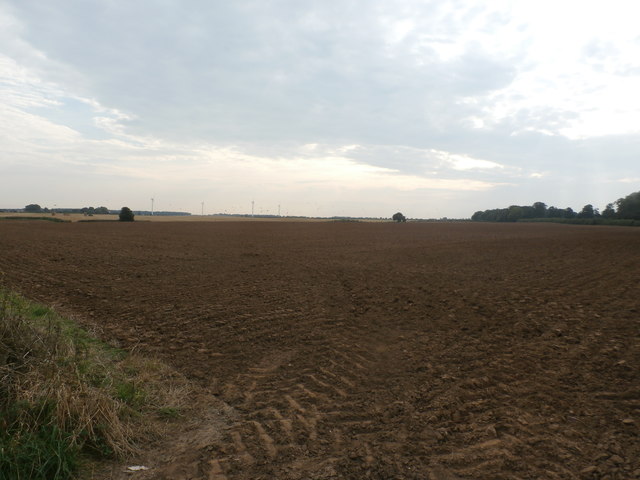 Farmland near Brodsworth Park
