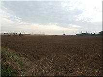 SE5106 : Farmland near Brodsworth Park by Jonathan Clitheroe