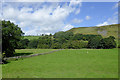 Pasture in Cwm Brefi, Ceredigion