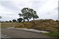 Muck pile, Beningbrough Lane