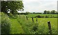 Footpath near Todber