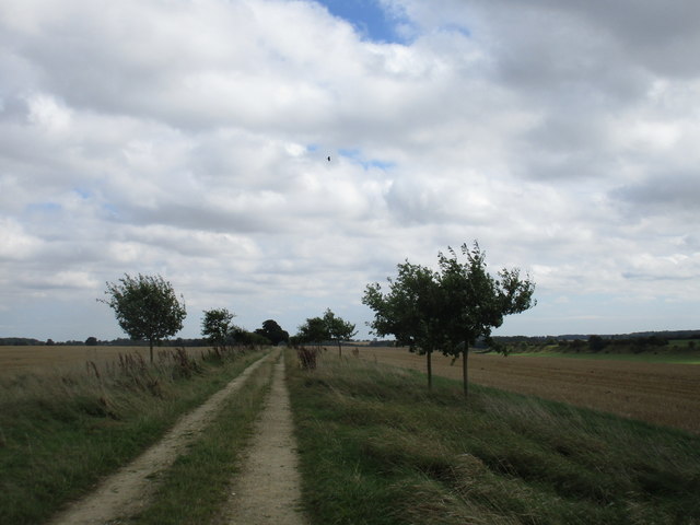 Footpath to the Great North Road