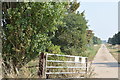 Farm track from Deal Hall