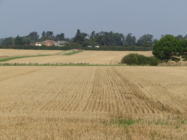 Fields east of Burton upon Stather