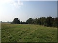 Towards Thornborough Road