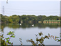 Fishing lake near Hoo