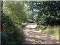 Track in Spalford Warren