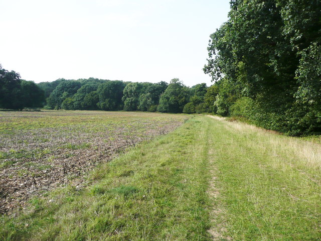 Permissive bridleway next to Hitch Wood