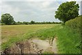 Field near Lymburghs Farm