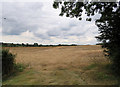 Entrance to field west of Mill Lane