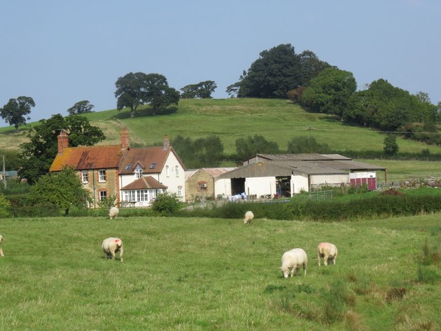 Fry's Farm