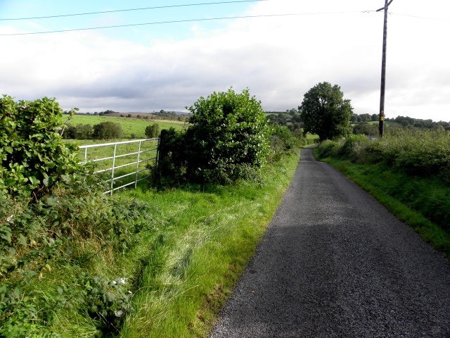 Falskey Road © Kenneth Allen cc-by-sa/2.0 :: Geograph Ireland