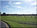 Sports field, Dalston