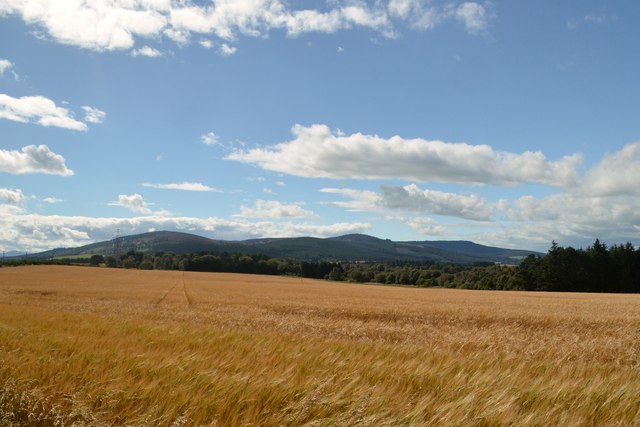 Farmland at Braigiewell, Aberdeenshire