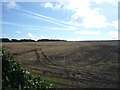 Field, Jenkin Cross