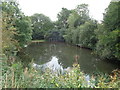 Side pond at Upton Warren Outdoor Education Centre