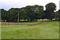 Field and trees at Littleton Stud