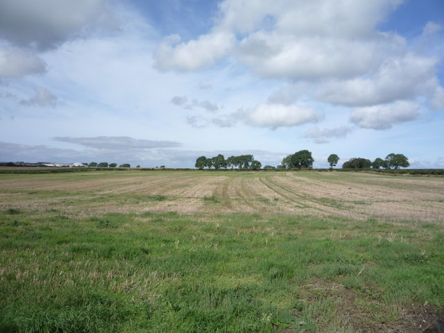 Field near Crooklands