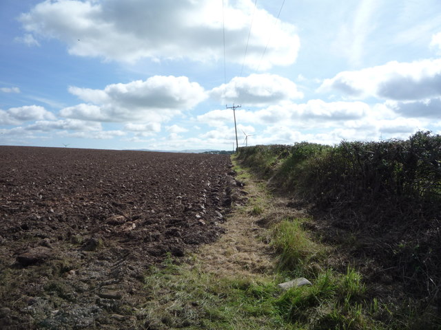 Field and hedgerow near Bromfield