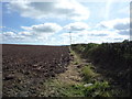 NY1746 : Field and hedgerow near Bromfield by JThomas