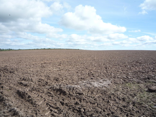 Field near Bromfield