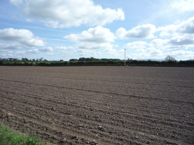 Field near Langrigg