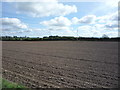 NY1745 : Field near Langrigg by JThomas